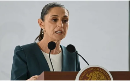 ৩০ শতাংশ শুল্ককে ‘অন্যায্য হার’ বলে ট্রাম্পের সমালোচনায় মেক্সিকো