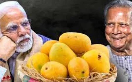 শুভেচ্ছা উপহার হিসেবে মোদিকে আম পাঠাচ্ছেন প্রধান উপদেষ্টা
