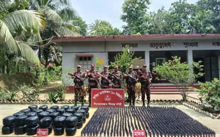 কুমিল্লা সীমান্তে বিজিবির অভিযানে বিপুল পরিমাণ মাদক ও চোরাচালানী পণ্য জব্দ