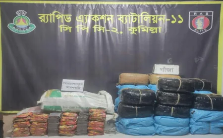 কুমিল্লায় র‌্যাবের অভিযানে গাঁজা ব্যবসায়ী ১ যুবক গ্রেফতার