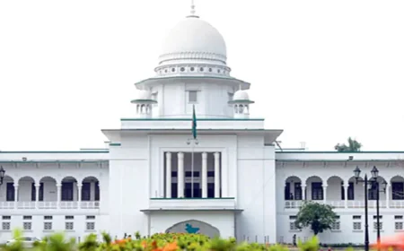 বিমান বিধ্বস্তের ঘটনার কারণ অনুসন্ধানে বিশেষজ্ঞ কমিটি গঠনের নির্দেশ