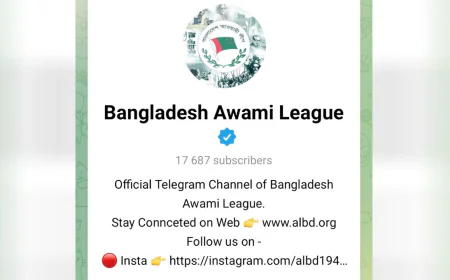 টেলিগ্রাম গ্রুপেও চাঁদাবাজিতে জড়িয়ে পড়ছে আওয়ামী লীগ