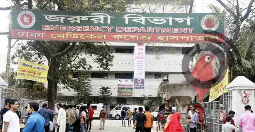 পারিবারিক কলহে স্বামীর গোপনাঙ্গ কর্তন, স্ত্রী পলাতক