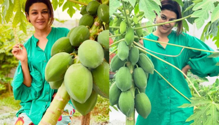পেঁপের বাগানে জয়া, লিখলেন সুখের কথা