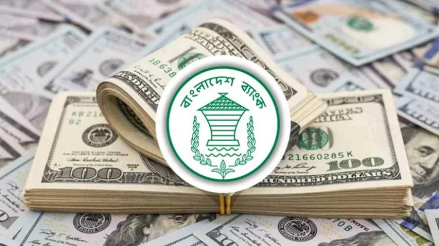 জুলাই মাসের প্রথম ৬ দিনে রেমিট্যান্স প্রবাহ ১৫.৩৪ শতাংশ বৃদ্ধি পেয়েছে