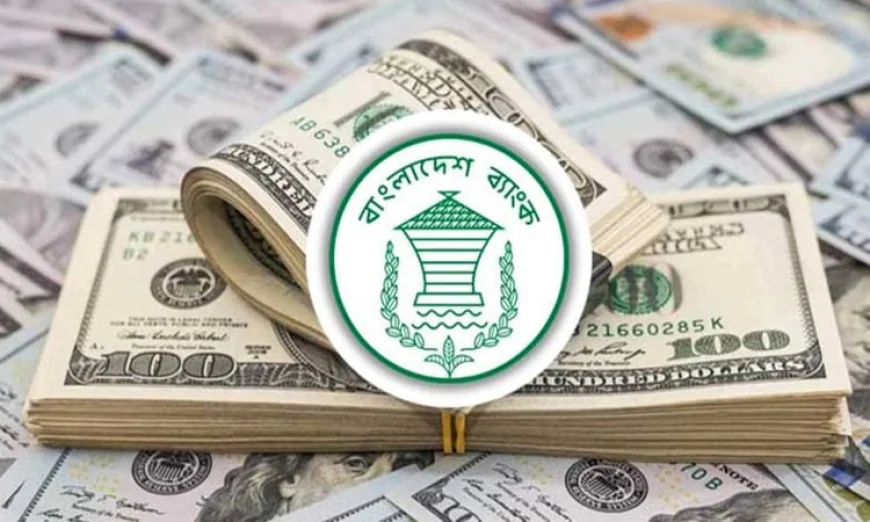 রেকর্ড রেমিট্যান্স প্রবাহে বৈদেশিক মুদ্রার রিজার্ভ বৃদ্ধি পেয়েছে