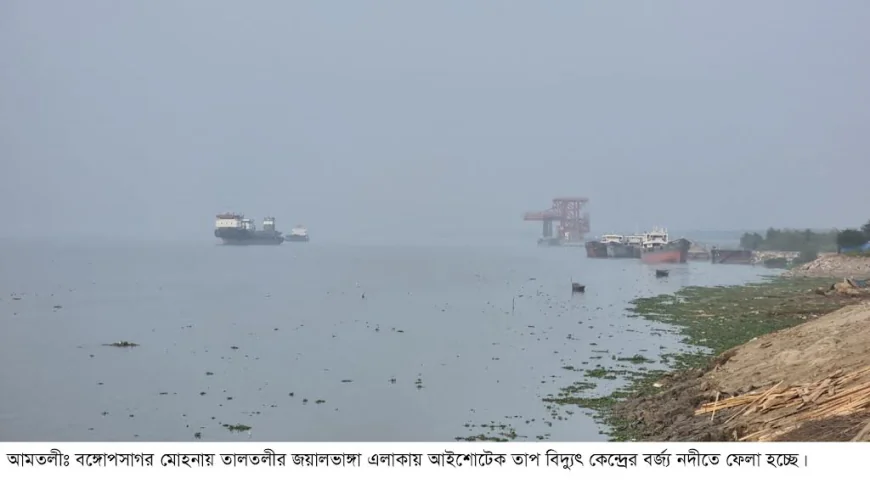 ইলিশের দেখা নেই পায়রা নদীতে , জেলেরা হতাস