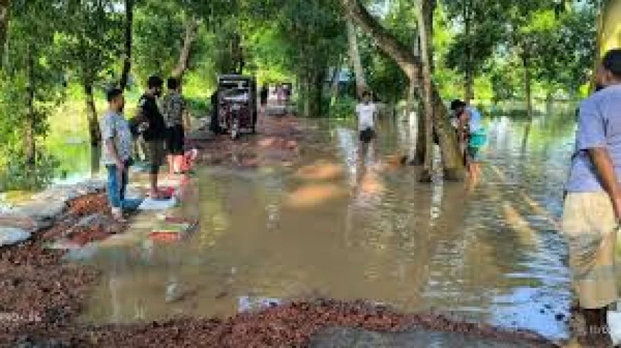 ফেনীতে বন্যা পরিস্থিতির উন্নতি, ভেসে উঠছে ক্ষতচিহ্ন