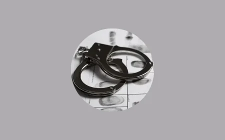 মুন্সীগঞ্জে ইজিবাইকসহ ছিনতাইকারী ৭ সদস্য গ্রেপ্তার