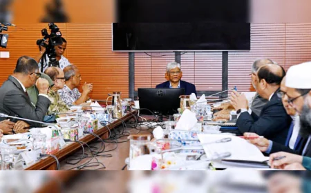 সরকারের পরিকল্পনা: ২ কার্গো এলএনজি ও ২টি জাহাজ ক্রয়