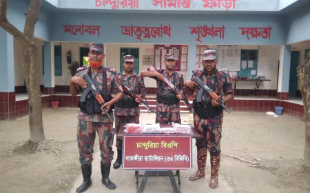 সাতক্ষীরা সীমান্তে ভারতীয় বিভিন্ন মালামাল জব্দ