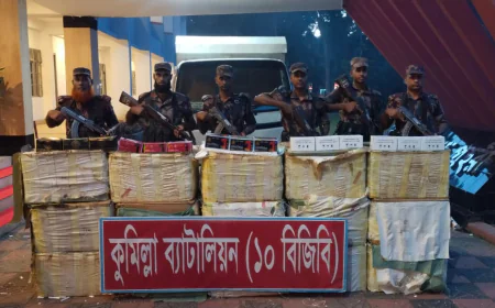 কুমিল্লা সীমান্তে ৫ কোটি টাকার ভারতীয় মোবাইল ডিসপ্লে জব্দ