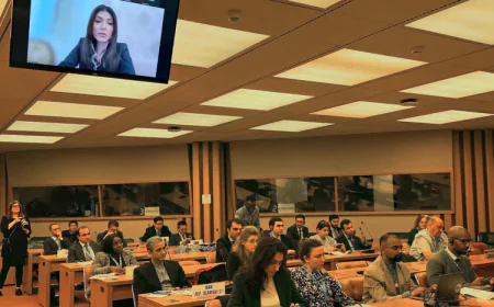 হাই-লেভেল ব্রিফিংয়ে অগ্রগতি: COP29 গ্রিন ডিজিটাল অ্যাকশন ডিক্লারেশন