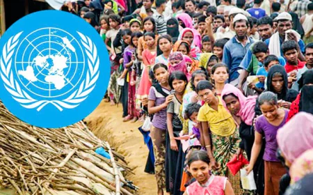 মাস্তুঙ্গে জলবায়ু অভিযোজন: জাতিসংঘের সহায়তায় স্থানীয় সম্প্রদায়ের শক্তিশালী উদ্যোগ