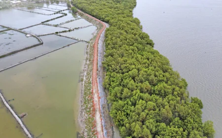 ফয়সালাবাদে কৃষি ঝুঁকি হ্রাসে জাতিসংঘের জলবায়ু অভিযোজন প্রকল্প