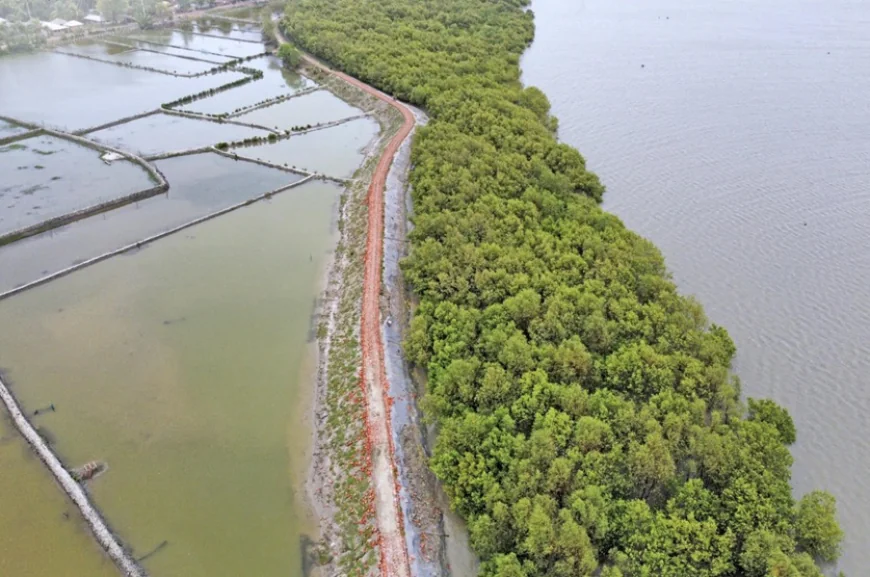 ফয়সালাবাদে কৃষি ঝুঁকি হ্রাসে জাতিসংঘের জলবায়ু অভিযোজন প্রকল্প