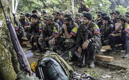 ভেনেজুয়েলায় ৯ গেরিলা যোদ্ধা নিহত