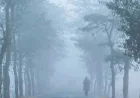 হালকা কুয়াশাসহ সারাদেশে তাপমাত্রা অপরিবর্তিত থাকার সম্ভাবনা