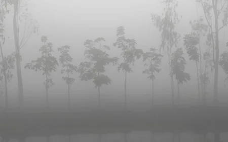 পঞ্চগড়ে বাড়ছে শীত, তাপমাত্রা ১২ ডিগ্রিতে