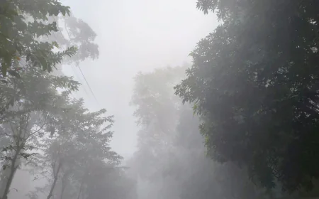 কুড়িগ্রামে শীতের তীব্রতার সঙ্গে বেড়েছে মানুষের কষ্ট