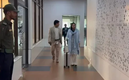 ঢাকায় পৌঁছেছেন ডা. জুবাইদা, সরাসরি যাচ্ছেন এভারকেয়ারে