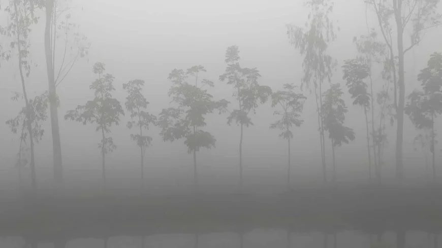 পঞ্চগড়ে বাড়ছে শীত, তাপমাত্রা ১২ ডিগ্রিতে