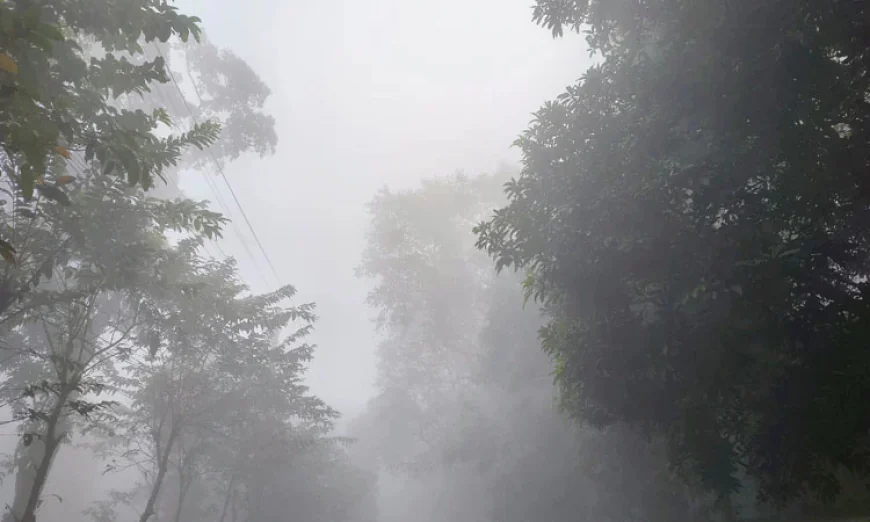 কুড়িগ্রামে শীতের তীব্রতার সঙ্গে বেড়েছে মানুষের কষ্ট