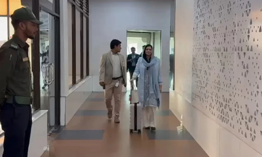 ঢাকায় পৌঁছেছেন ডা. জুবাইদা, সরাসরি যাচ্ছেন এভারকেয়ারে