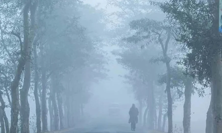 হালকা কুয়াশাসহ সারাদেশে তাপমাত্রা অপরিবর্তিত থাকার সম্ভাবনা
