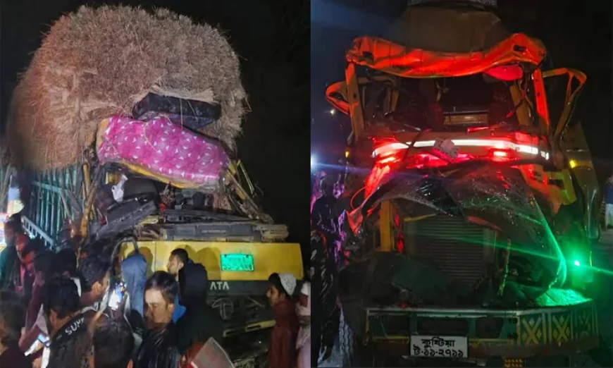 ঝিনাইদহে ২ ট্রাকের মুখোমুখি সংঘর্ষে এক চালক নিহত