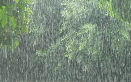 দেশের সকল বিভাগেই বৃষ্টির সম্ভাবনা