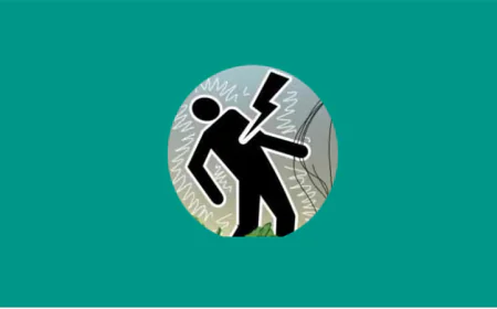 সুনামগঞ্জে বজ্রপাতে ২ জনের মৃত্যু