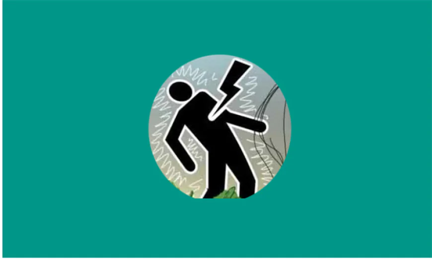 সুনামগঞ্জে বজ্রপাতে ২ জনের মৃত্যু