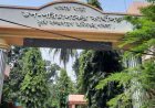 পাবনায় জিংক সমৃদ্ধ ধানের আবাদ বাড়ানোর উদ্যোগ