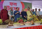 তৃণমূলে ফল উৎসবের সংস্কৃতি ছড়িয়ে দেওয়ার আহ্বান তথ্যমন্ত্রীর