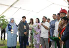 প্রতিবছর অন্তত একটি গাছ লাগানোর আহ্বান প্রধানমন্ত্রীর
