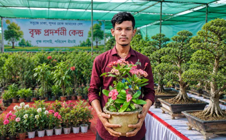 বাংলাদেশের এক তরুণ সবুজ উদ্যোক্তা- আবির গাজীর সাফল্যের গল্প