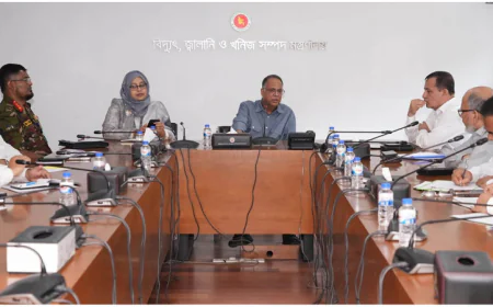 পারমাণবিক বিদ্যুৎ প্রস্তুতিতে ওয়ার্কিং পেপার তৈরির নির্দেশ মন্ত্রীর