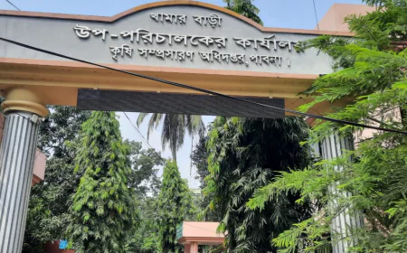 পাবনায় জিংক সমৃদ্ধ ধানের আবাদ বাড়ানোর উদ্যোগ