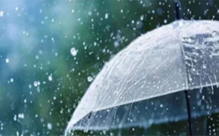দেশের বিভিন্ন স্থানে বৃষ্টির সম্ভাবনা, ভারী বর্ষণের শঙ্কা জানিয়েছে আবহাওয়া অধিদপ্তর