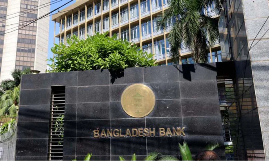 রপ্তানি বহুমুখীকরণে ৩ হাজার কোটি টাকার পুনঃঅর্থায়ন স্কিম চালু করল বাংলাদেশ ব্যাংক