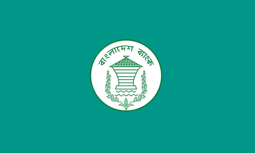 চলতি অর্থবছরে রেমিট্যান্স প্রবাহে ১৮.৭৩ শতাংশ প্রবৃদ্ধি