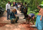 কালকিনিতে সরকারি খাল ভরাটের দায়ে ৪০ হাজার টাকা জরিমানা
