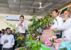 সুনামগঞ্জে বিনামূল্যে বীজ ও সার বিতরণ