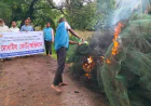 পটুয়াখালীতে নিষিদ্ধ চায়না দুয়ারি জাল জব্দ, পুড়িয়ে ধ্বংস