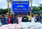 সন্দ্বীপ চ্যানেলে সিমেন্ট-সারসহ আটক ১০ পাচারকারী