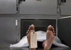 টাঙ্গাইলে মোটরসাইকেলের ধাক্কায় কৃষকের মৃত্যু