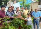 ঝিনাইদহে শিক্ষার্থীদের মাঝে বৃক্ষের চারা বিতরণ