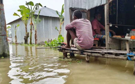 জুলাই-আগস্টে দেশে বন্যার আশঙ্কা: এফএফডব্লিউসি