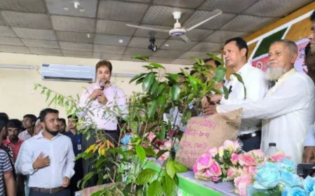 সুনামগঞ্জে বিনামূল্যে বীজ ও সার বিতরণ